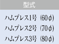 形式