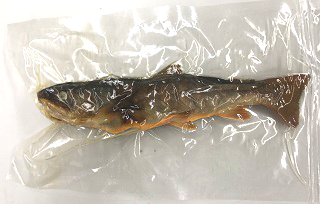 川魚